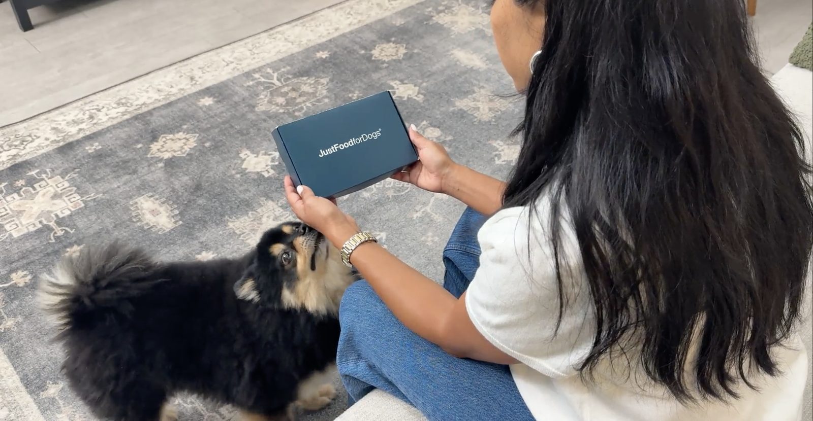 A curious Pomeranian stretching up to sniff the Biological Age Test box